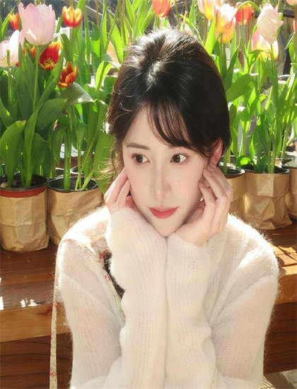 匠心如炬和其他作品相比如何？对比分析与评价