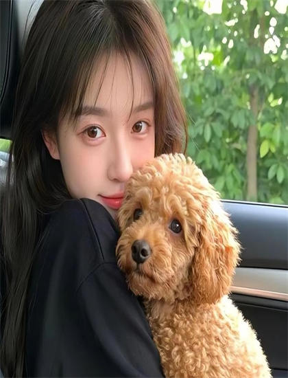 沉默法则有什么特别之处？独特看点与特色解析