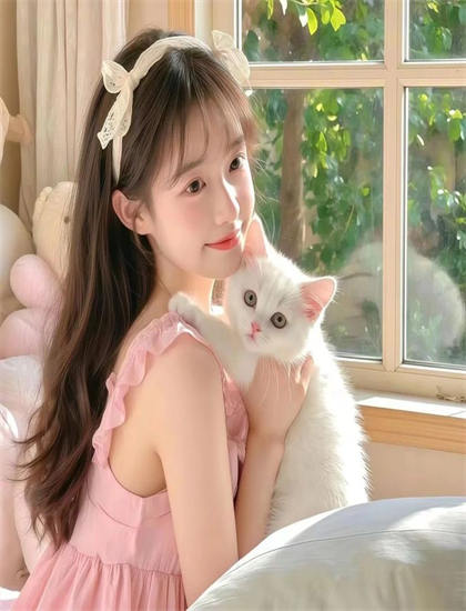 《空中大灌篮》美学价值分析：艺术美感与审美特征探讨